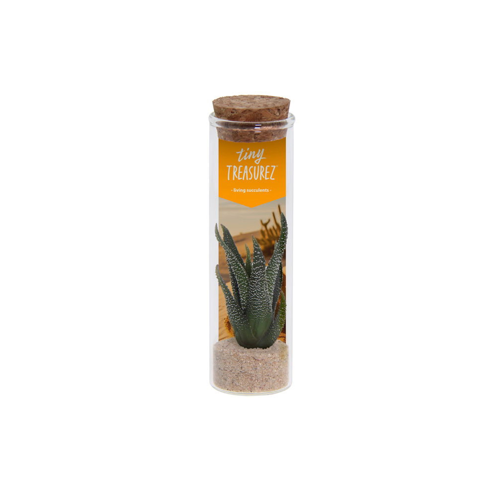 Tiny Treasurez® - Message in a bottle small, In giftbox, Turquoise - Natuurlijk