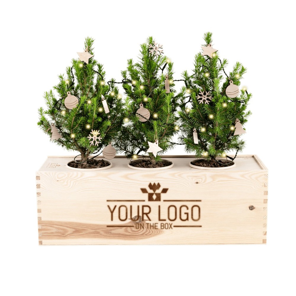 Xmas out of the Box - XL