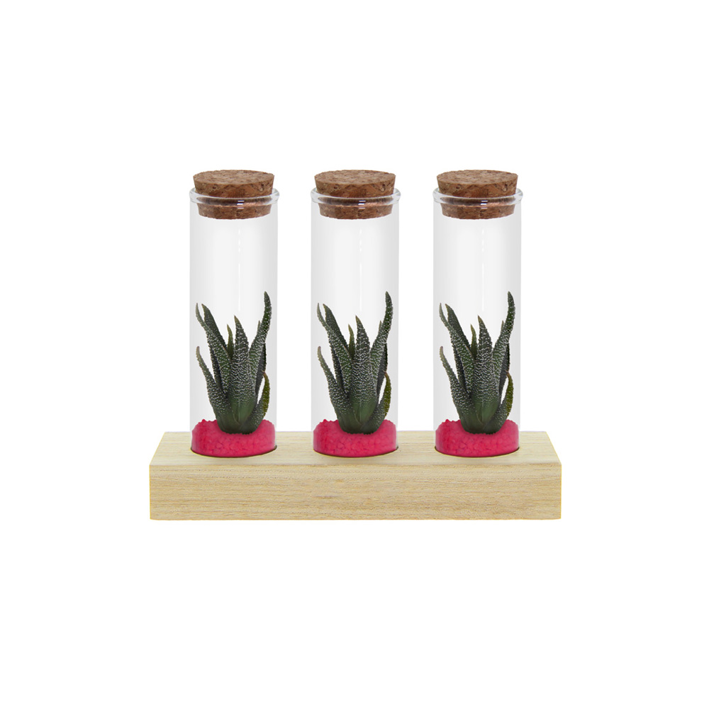 Tiny Treasurez® - Trio tube & wood - Donker roze