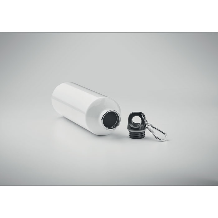 REBIG MOSS - Enkellaagse fles  750ml