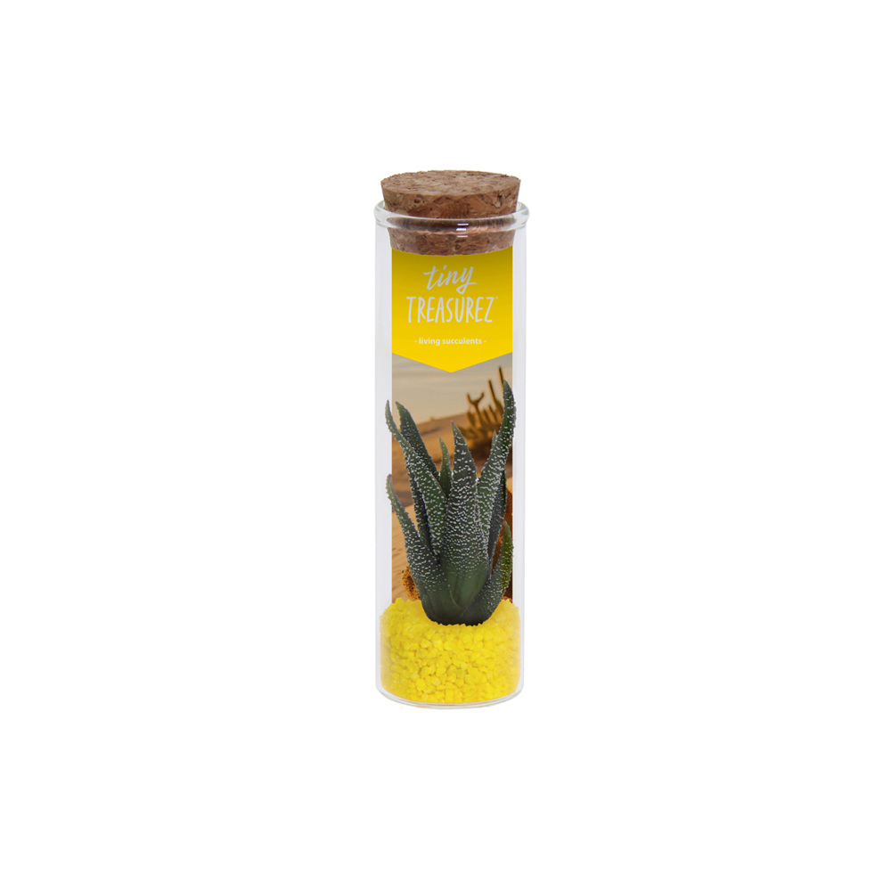 Tiny Treasurez® - Message in a bottle small, In giftbox, Turquoise - Geel