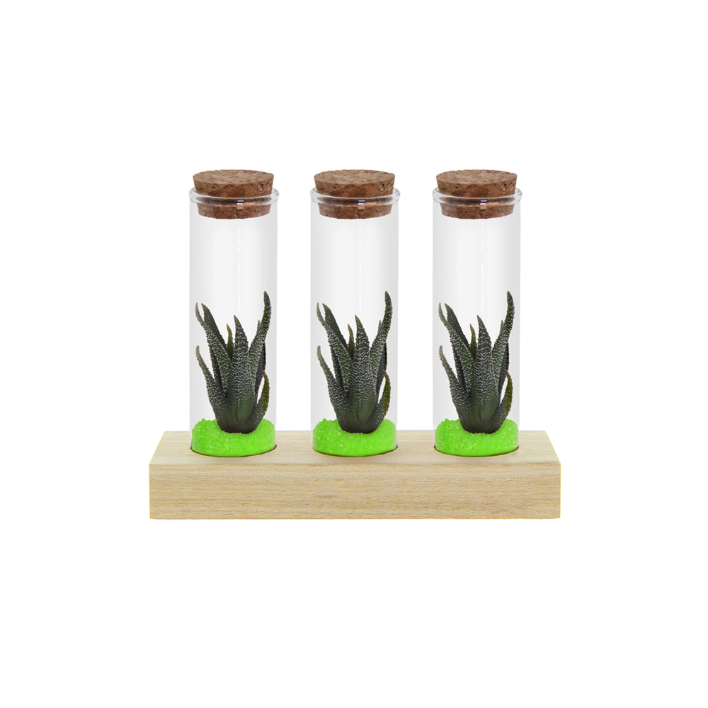 Tiny Treasurez® - Trio tube & wood - Groen