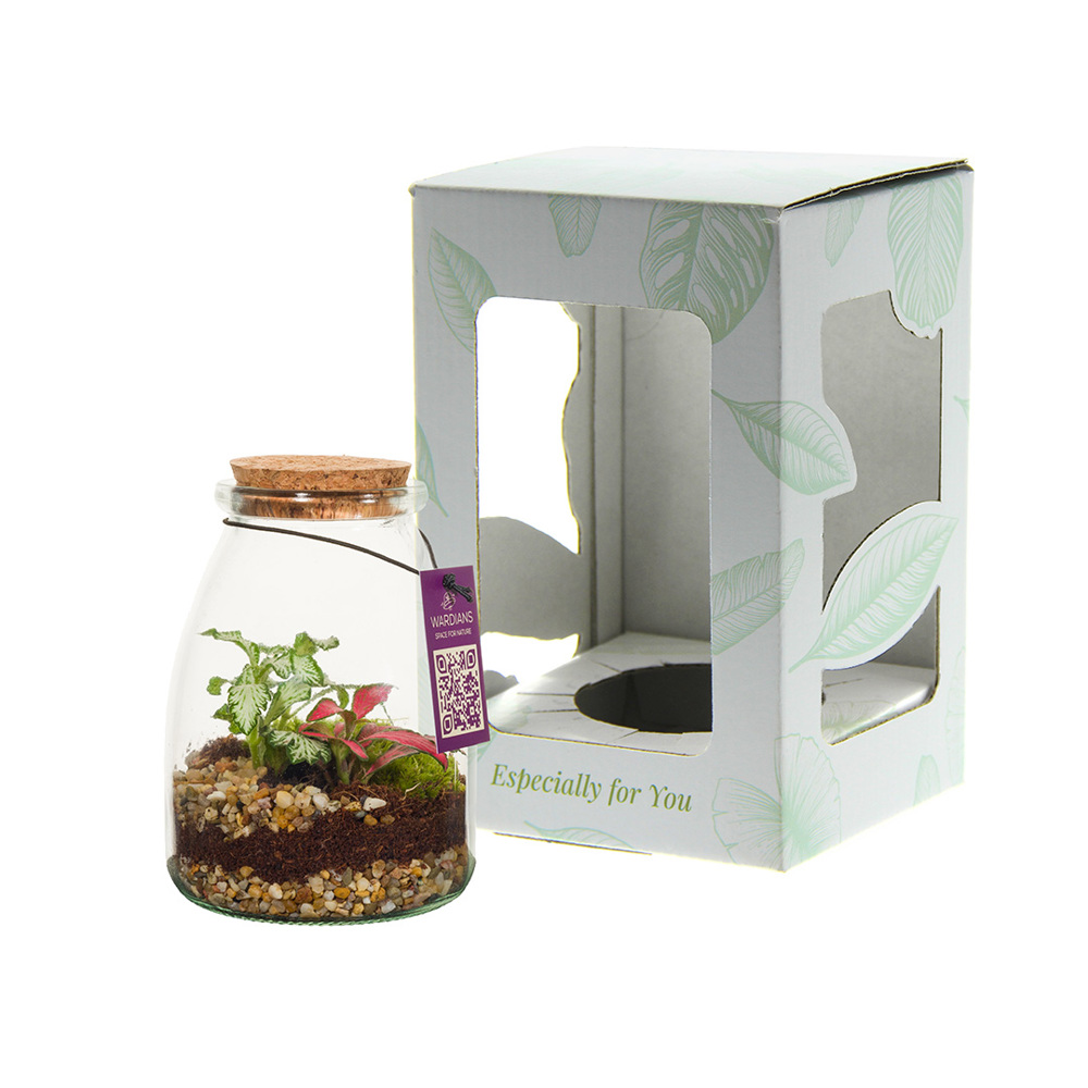 Wardians® Ecosystem - Bottle small, In giftbox