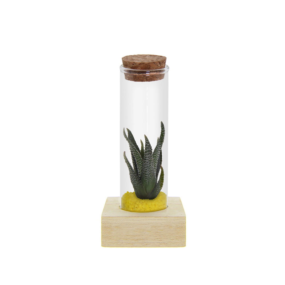 Tiny Treasurez® - Single tube & wood - Geel