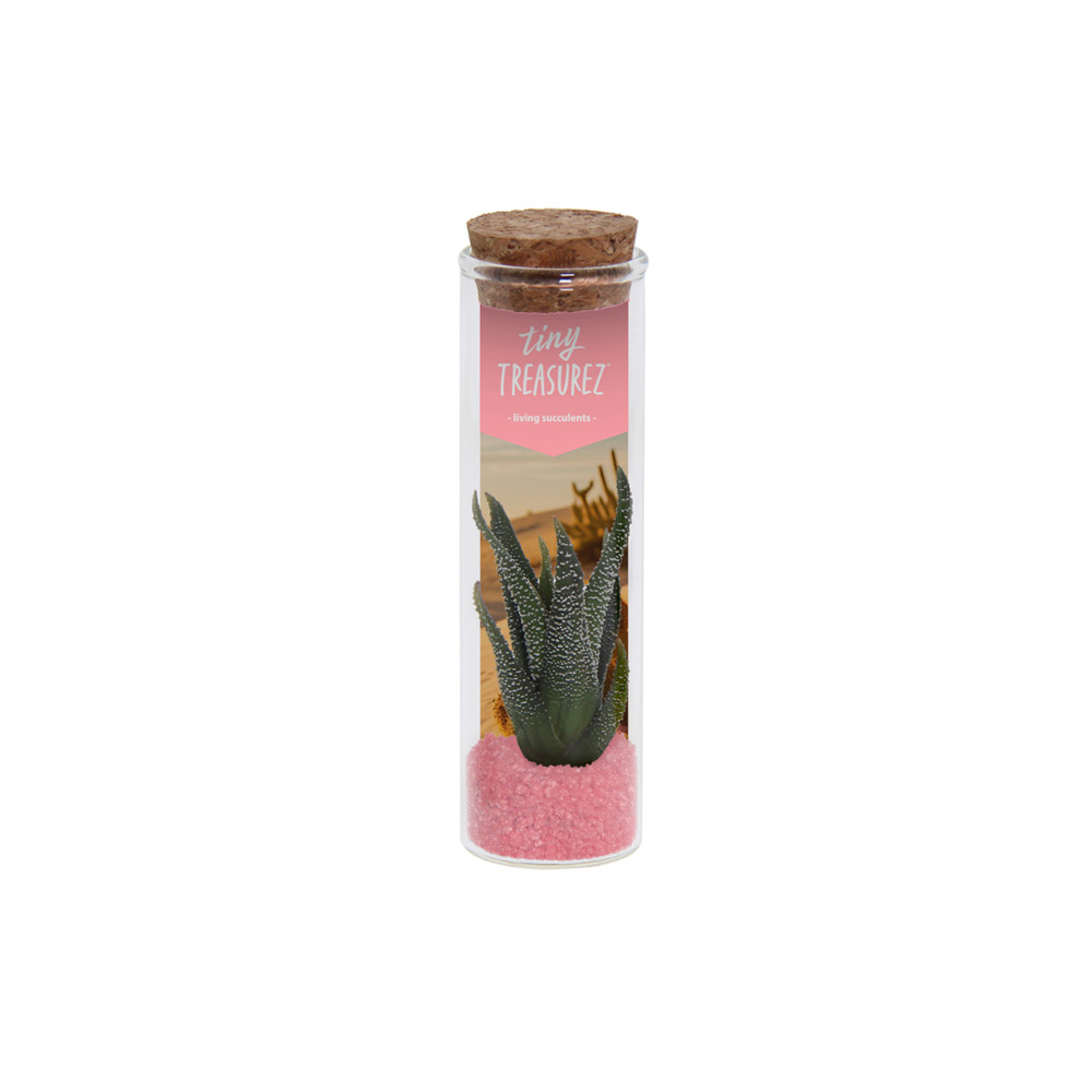 Tiny Treasurez® - Message in a bottle small, In giftbox, Turquoise - Licht roze