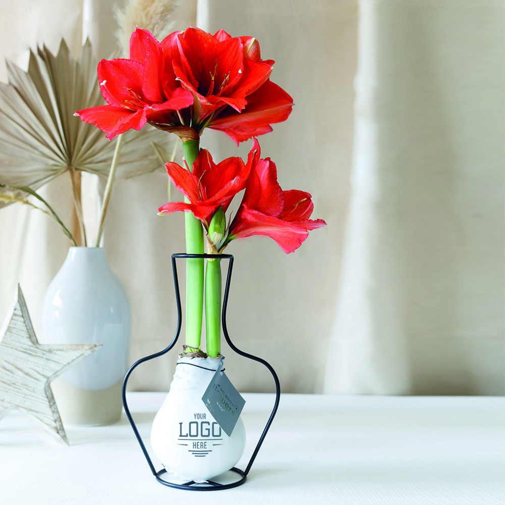 No Water Flowers® - Formz classic, In carry bag, Bordeaux