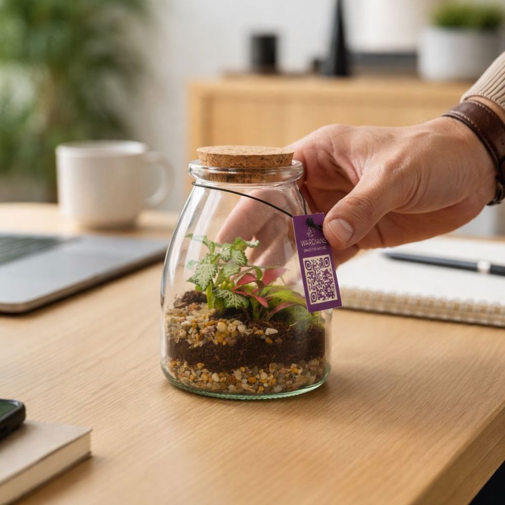 Wardians® Ecosystem - Bottle small, In giftbox