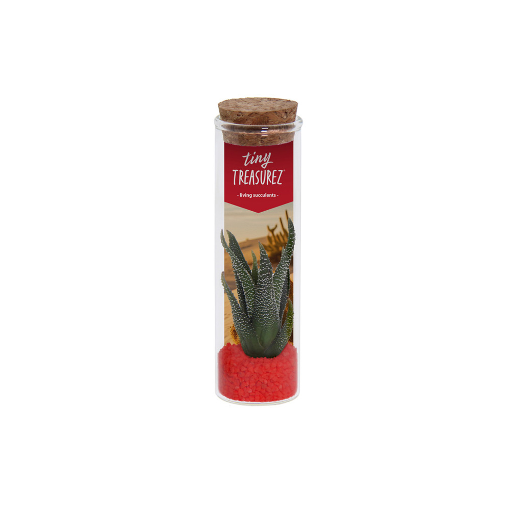 Tiny Treasurez® - Message in a bottle small, In giftbox, Turquoise - Rood