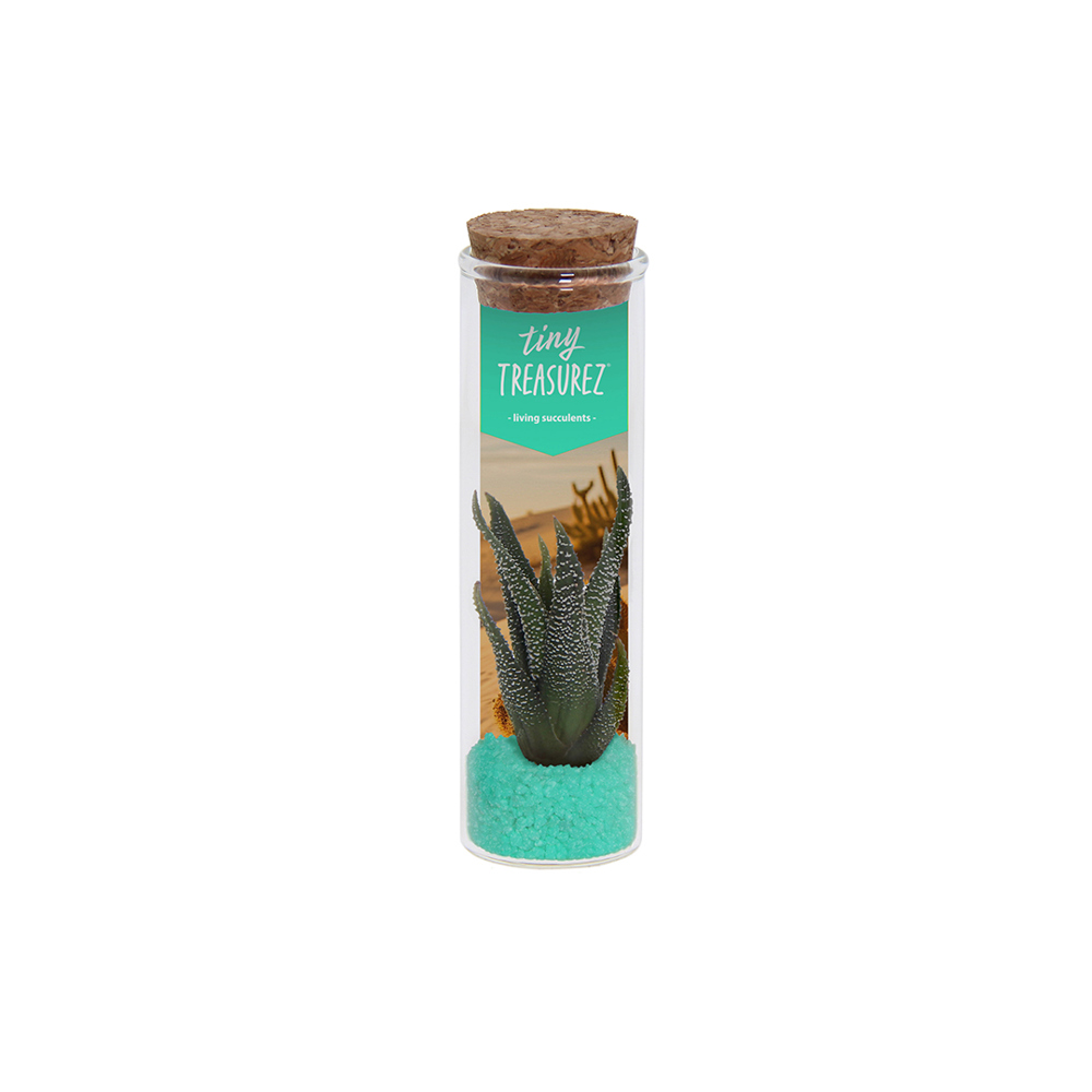 Tiny Treasurez® - Message in a bottle small, In giftbox, Turquoise