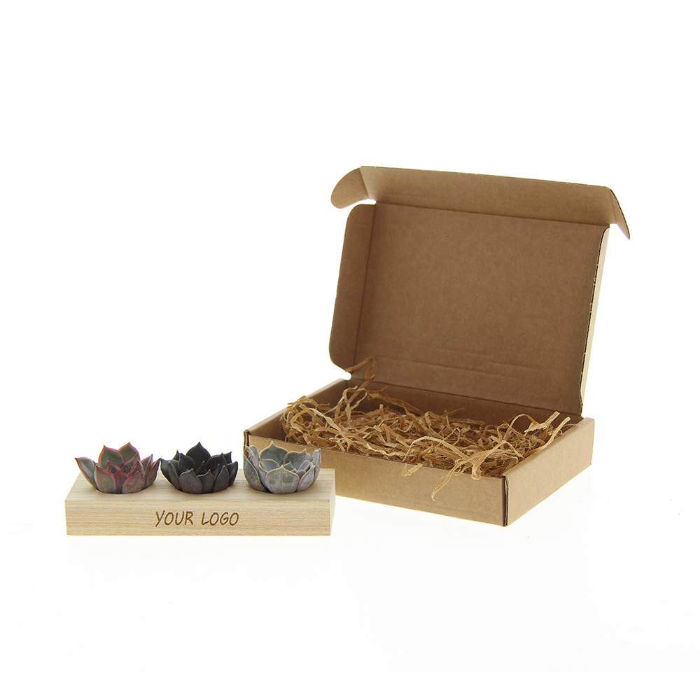 Tiny Treasurez® - Trio wood