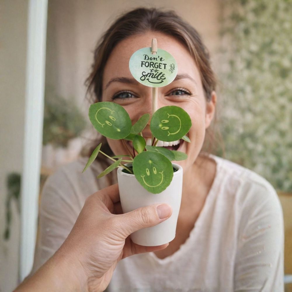 Smylieplant® - Happy in keramieke pot (small), In giftbox