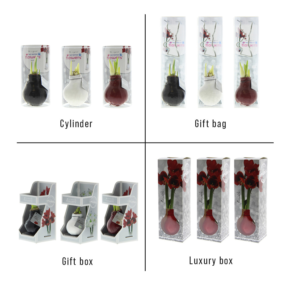 No Water Flowers® - Waxz® Colours, Zonder verpakking, Geel