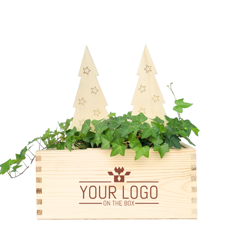 Xmas out of the Box - M