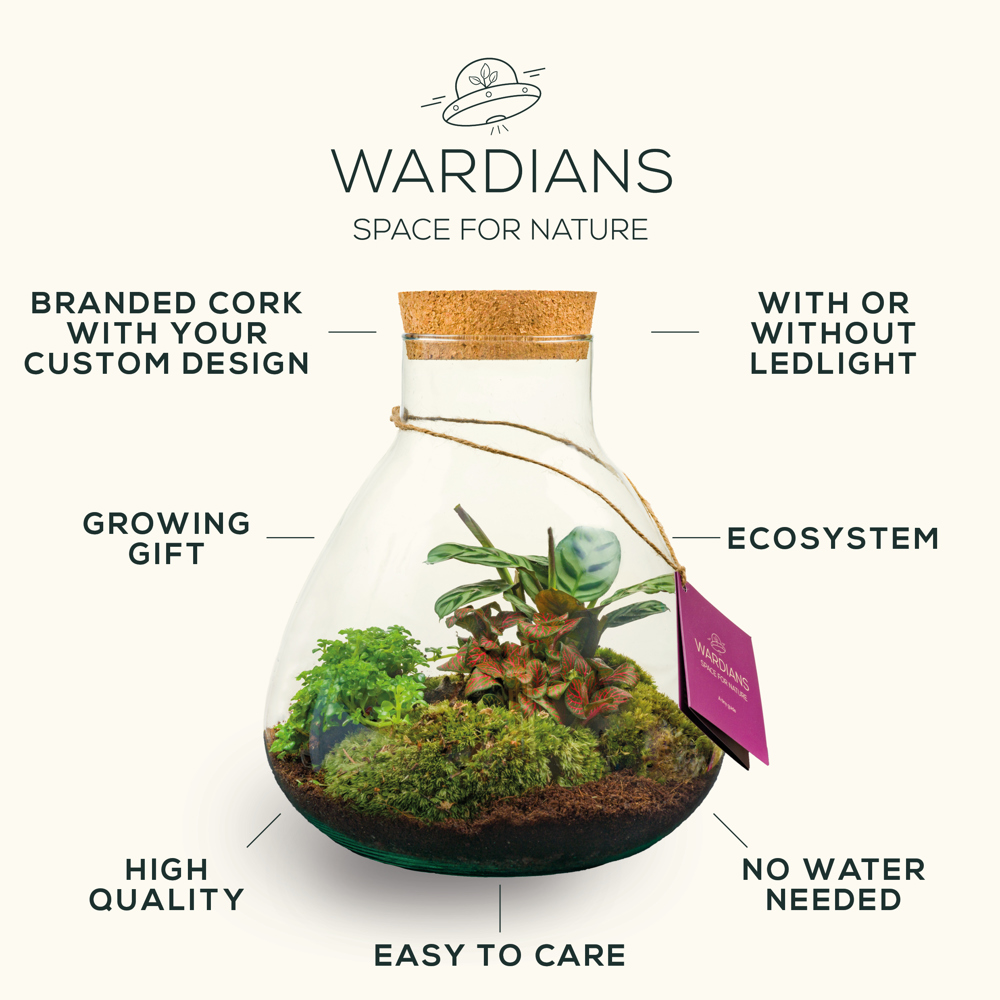 Wardians® Ecosystem - Erlenmeyer small, Zonder verpakking