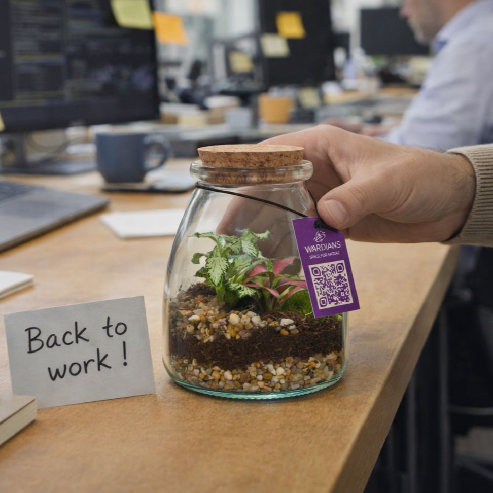 Wardians® Ecosystem - Bottle small, In giftbox