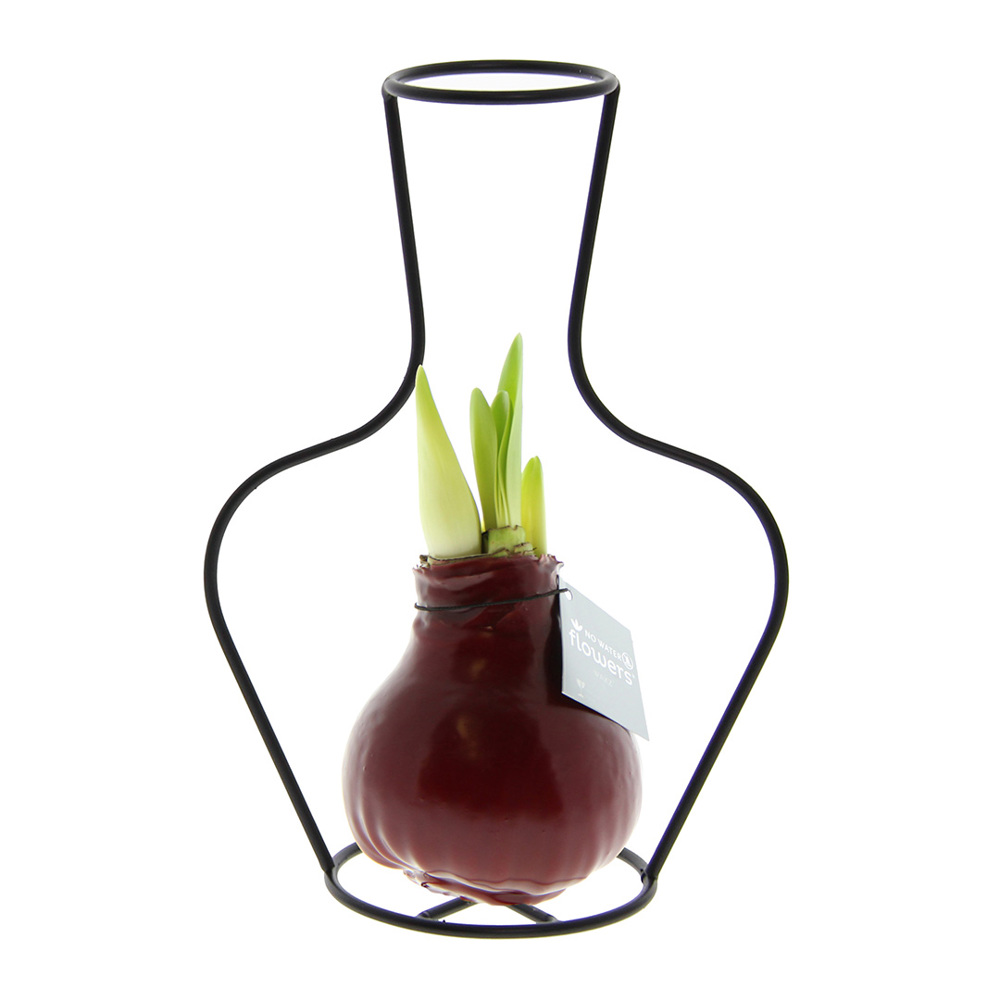 No Water Flowers® - Formz classic, In carry bag, Bordeaux