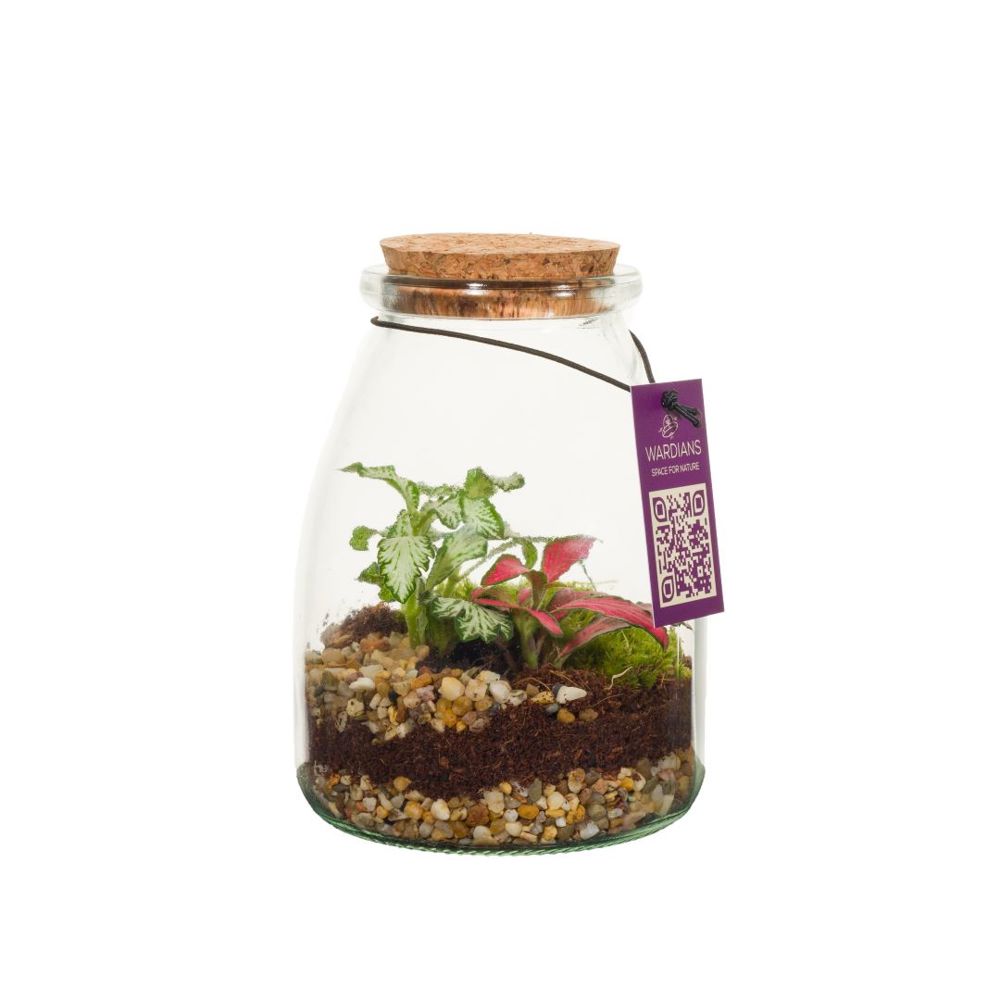 Wardians® Ecosystem - Bottle small, Zonder verpakking