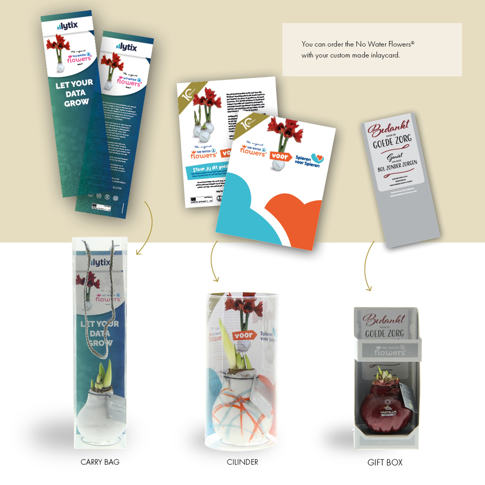 No Water Flowers® - Glowz, In giftbox