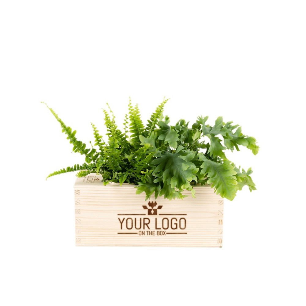 Nature out of the Box - M