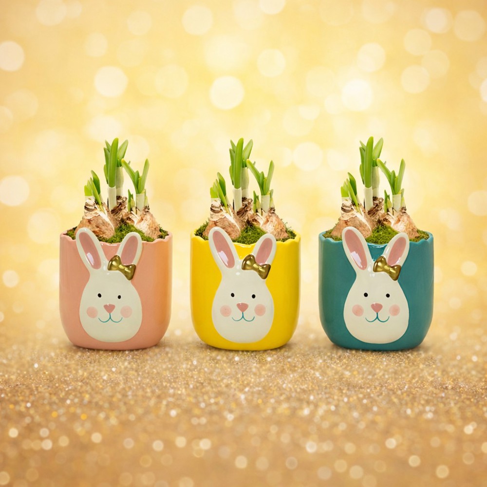 Easter golden bunny medium - Narcis, In cellofaan met chocolade eitjes
