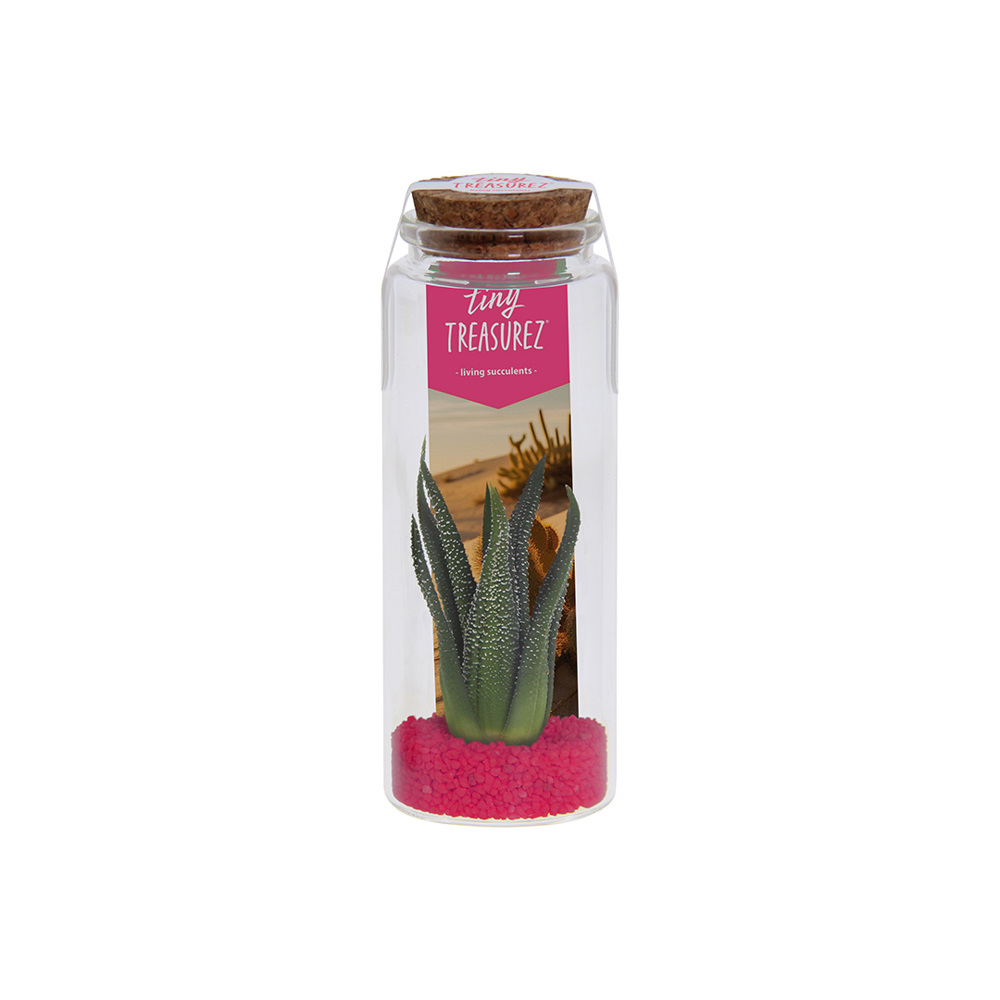 Tiny Treasurez® - Message in a bottle large - Donker roze