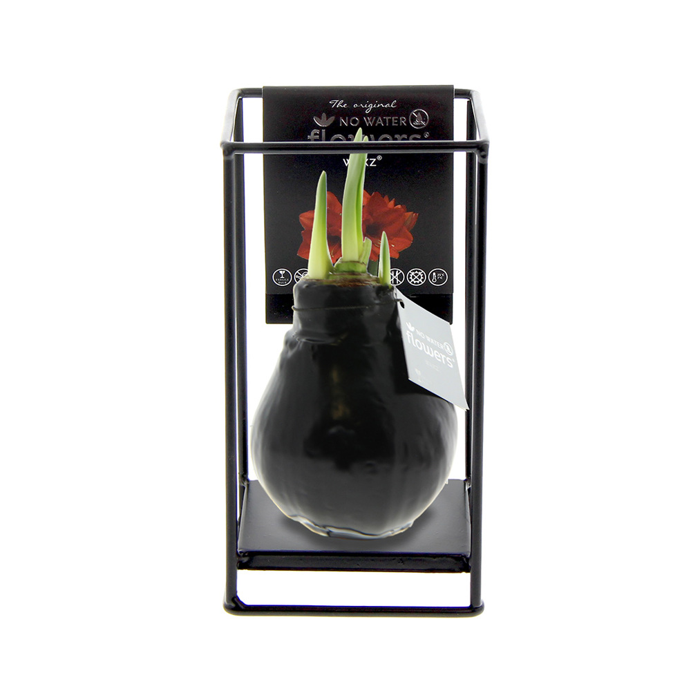 No Water Flowers® - Formz industrial - Zwart