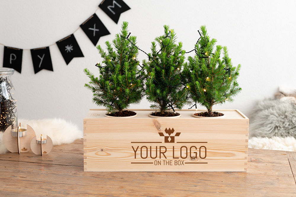 Xmas out of the Box - XL