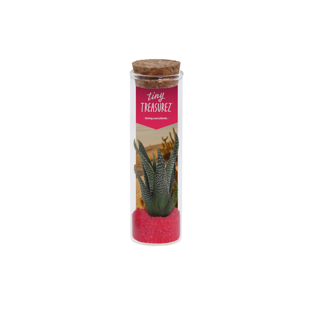 Tiny Treasurez® - Message in a bottle small, In giftbox, Turquoise - Donker roze