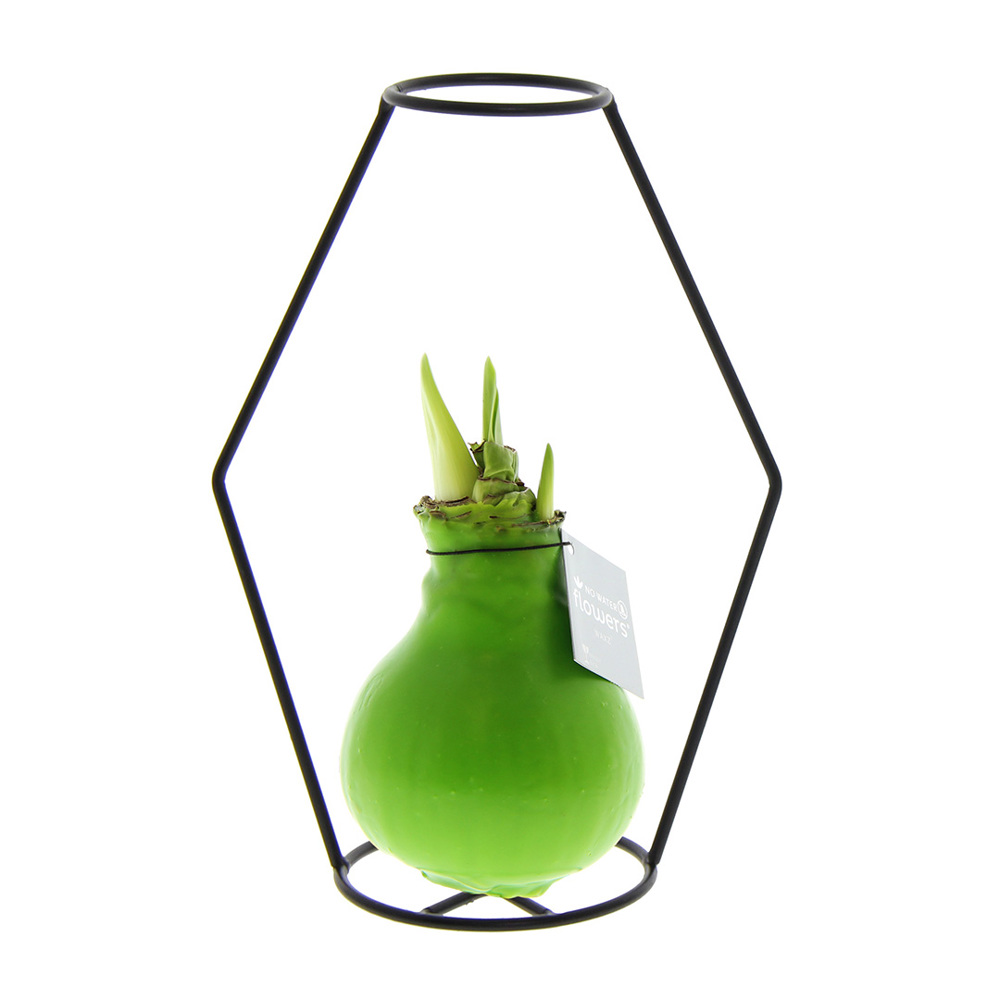 No Water Flowers® - Formz modern, In carry bag, Lichtgroen