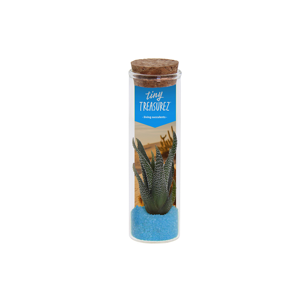 Tiny Treasurez® - Message in a bottle small, In giftbox, Turquoise - Licht blauw