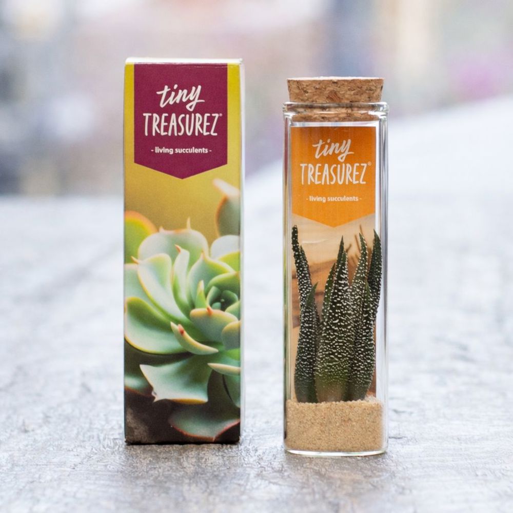 Tiny Treasurez® - Message in a bottle small, Zonder verpakking, Rood