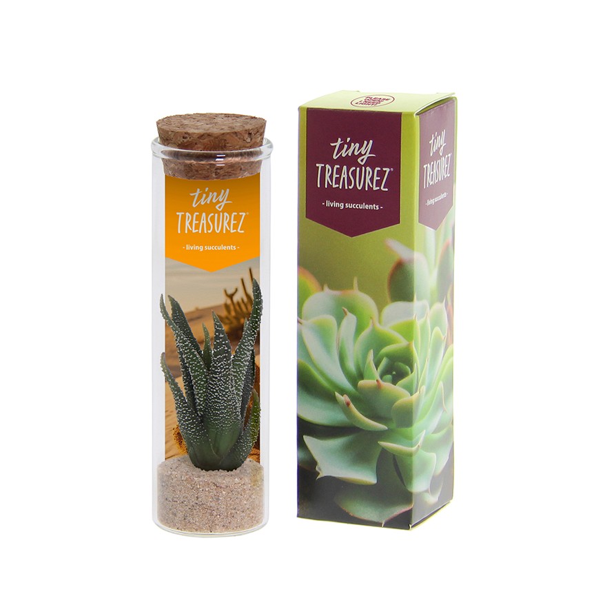 Tiny Treasurez® - Message in a bottle small, Zonder verpakking, Rood
