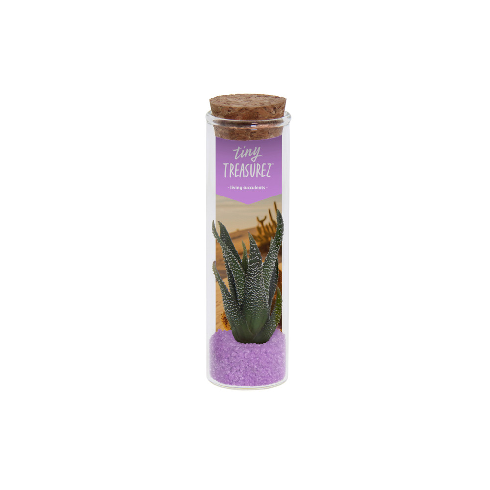 Tiny Treasurez® - Message in a bottle small, In giftbox, Turquoise - Paars