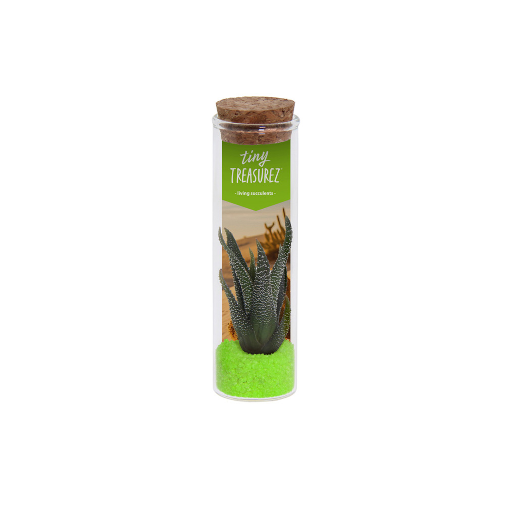 Tiny Treasurez® - Message in a bottle small, In giftbox, Turquoise - Groen