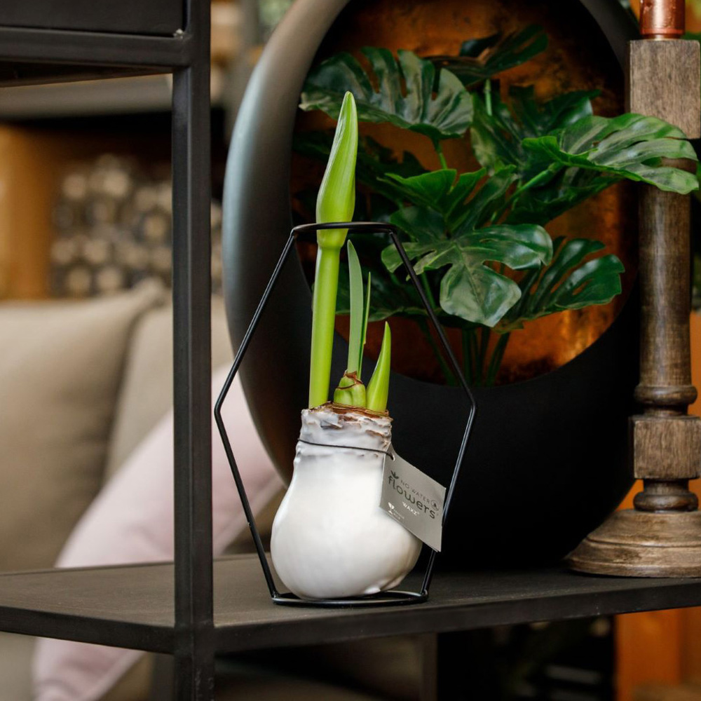 No Water Flowers® - Formz modern, In carry bag, Lichtgroen