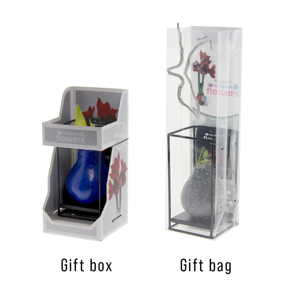 No Water Flowers® - Formz industrial, In giftbox, Pastel roze
