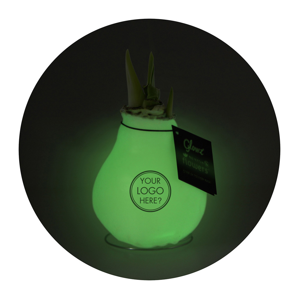 No Water Flowers® - Glowz, In giftbox