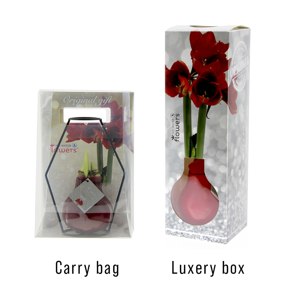 No Water Flowers® - Formz modern, In carry bag, Lichtgroen