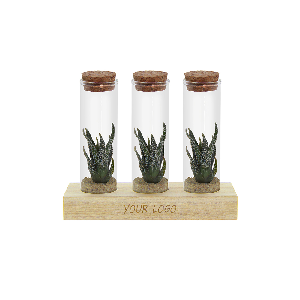 Tiny Treasurez® - Trio tube & wood