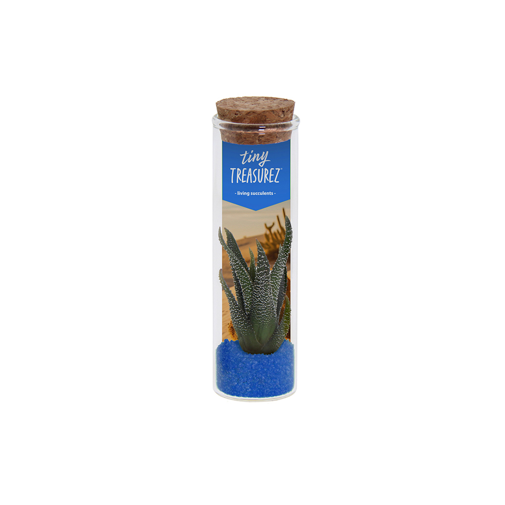 Tiny Treasurez® - Message in a bottle small, In giftbox, Turquoise - Blauw