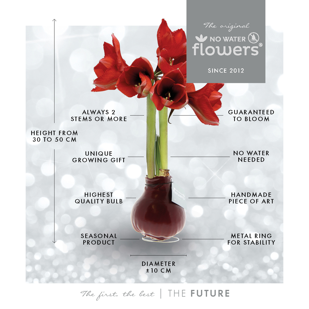 No Water Flowers® - Formz classic, In carry bag, Bordeaux