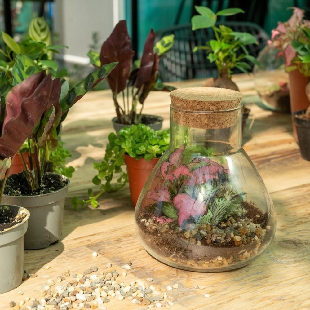 Wardians® Ecosystem - Erlenmeyer small, Zonder verpakking