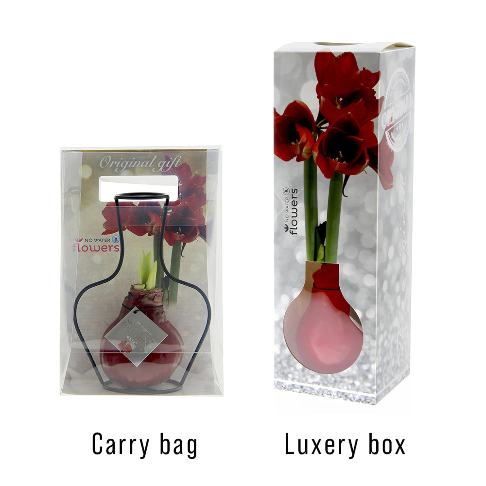 No Water Flowers® - Formz classic, In carry bag, Bordeaux