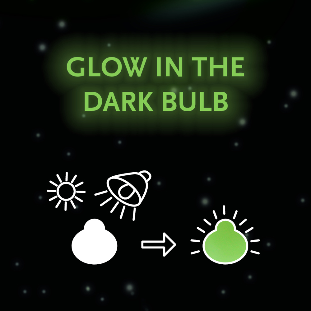 No Water Flowers® - Glowz, In giftbox