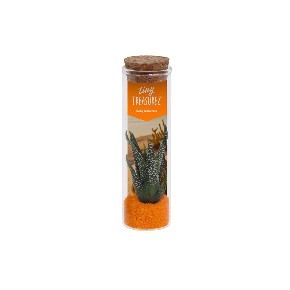 Tiny Treasurez® - Message in a bottle small, In giftbox, Turquoise - Oranje