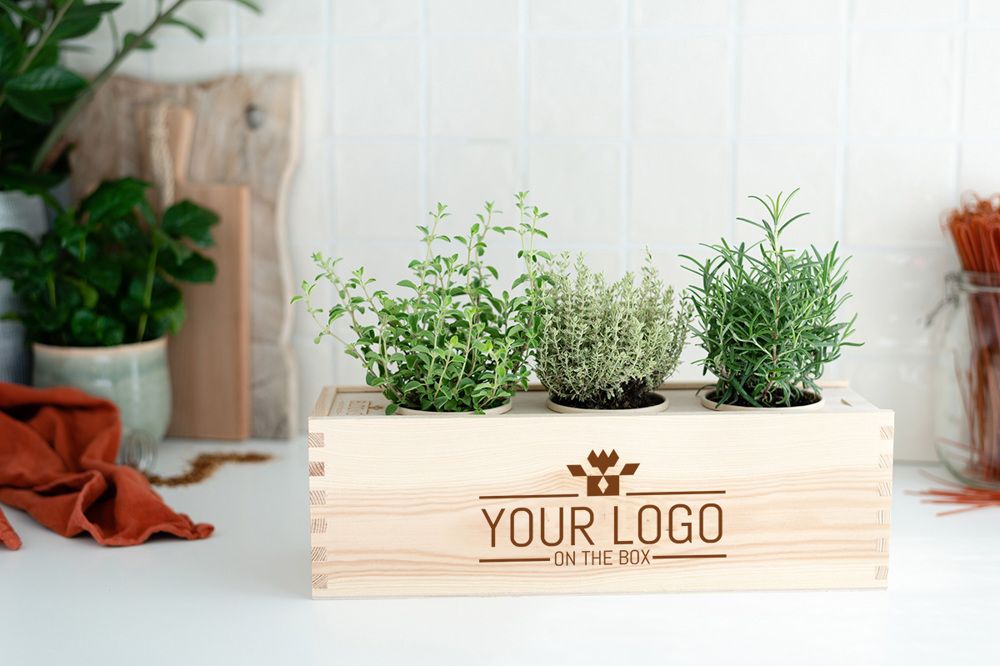 Herbs out of the Box -L