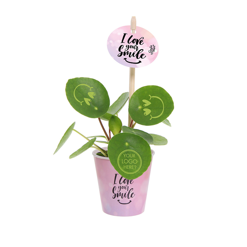 Smylieplant® - Love in papercup (small), In beschermende plantensleeve