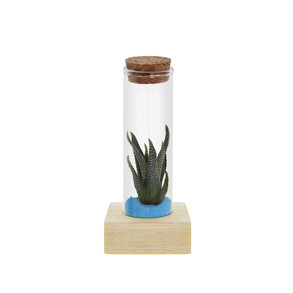 Tiny Treasurez® - Single tube & wood - Licht blauw