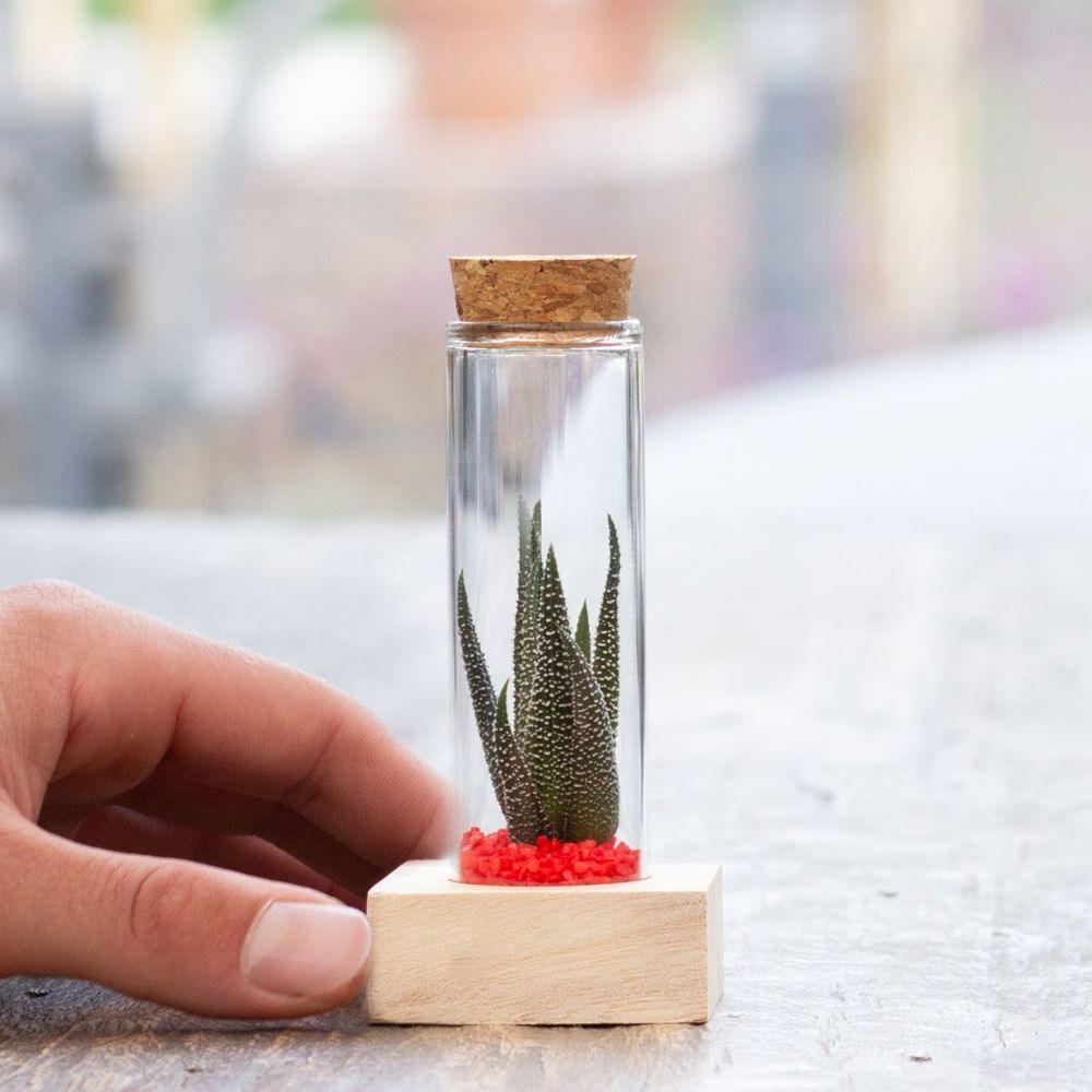 Tiny Treasurez® - Single tube & wood, Rood