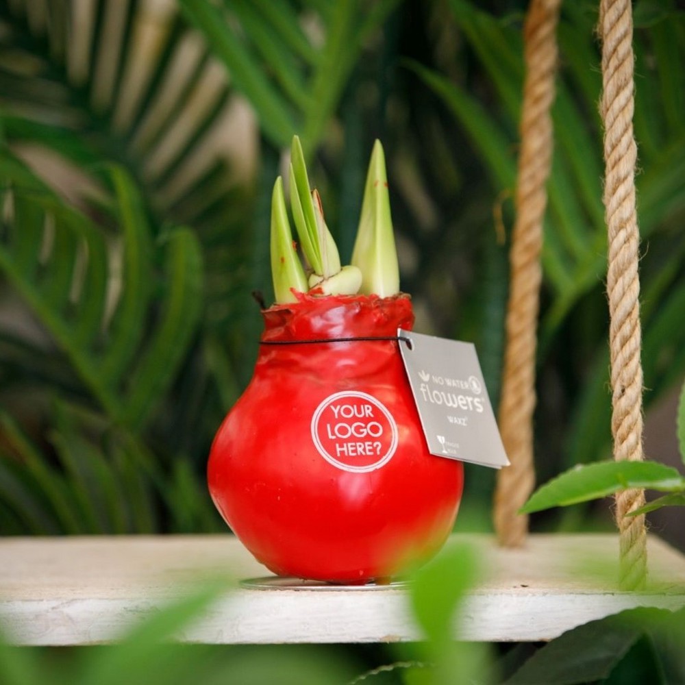 No Water Flowers® - Waxz® Colours, Zonder verpakking, Geel